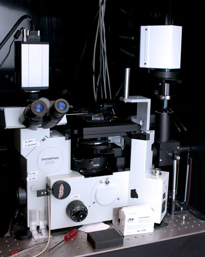 Two photon microscopy1